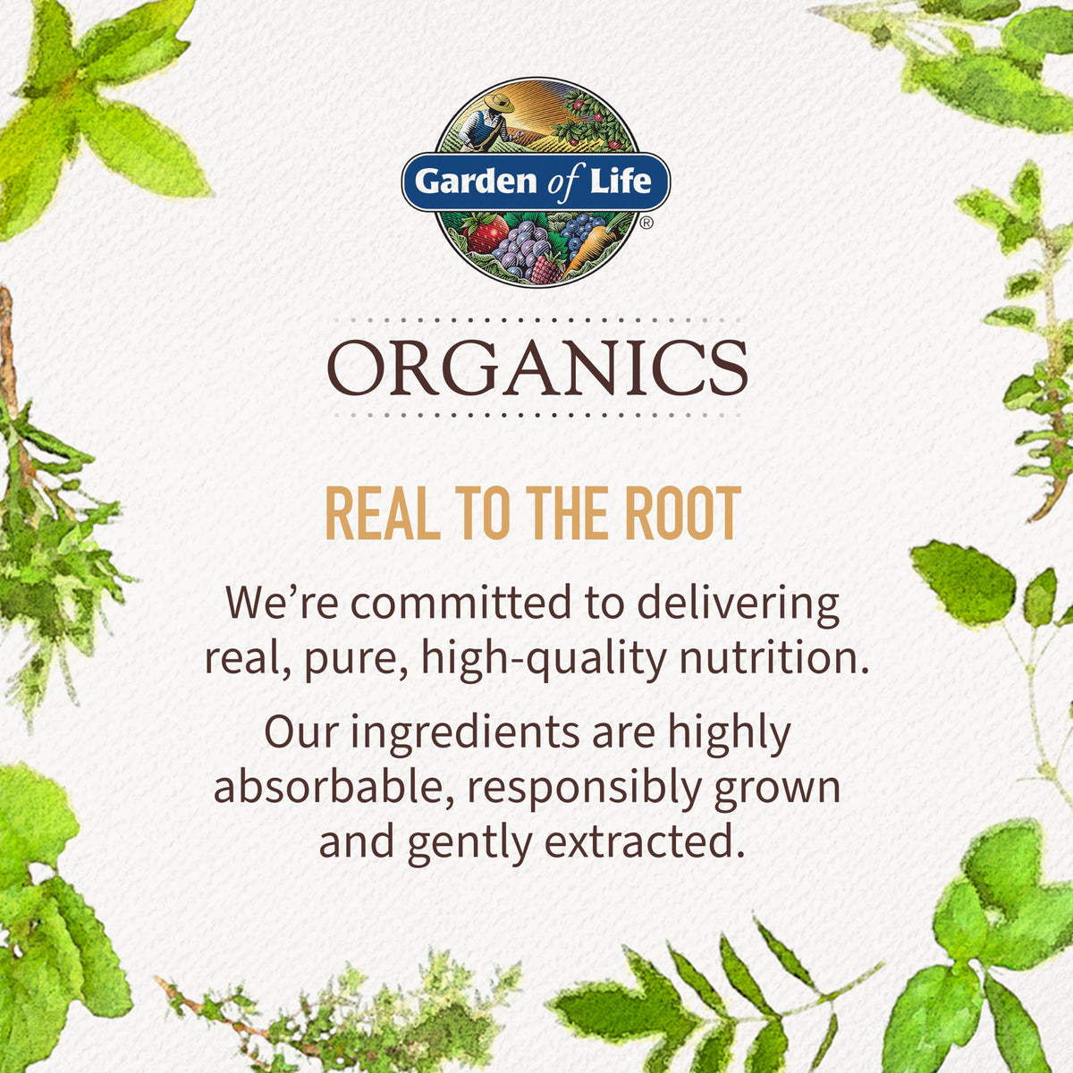 Garden of Life Once Daily Whole Food Multivitamin for Men, Organic Mens Vitamins & Minerals, Vitamin C, Zinc, Vegan, for Health & Well-Being, 60 Tablets | Organic Mens Vitamins & Minerals, Vitamin C, Zinc, Vegan, For Health & Well-Being, Whole Food