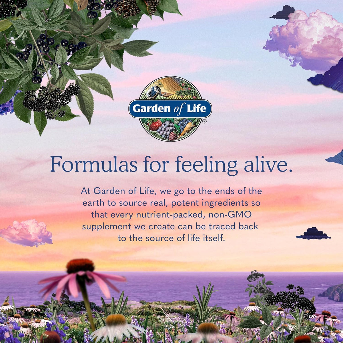 Garden of Life Vitamin B Complex, 120 Vegan Capsules, High Potency Vitamins for Energy & Metabolism with B6, Folate & B12 as Methylcobalamin plus Probiotics | High Potency Vitamins for Energy & Metabolism with B6, Folate & B12 as Methylcobalamin, plus Pro