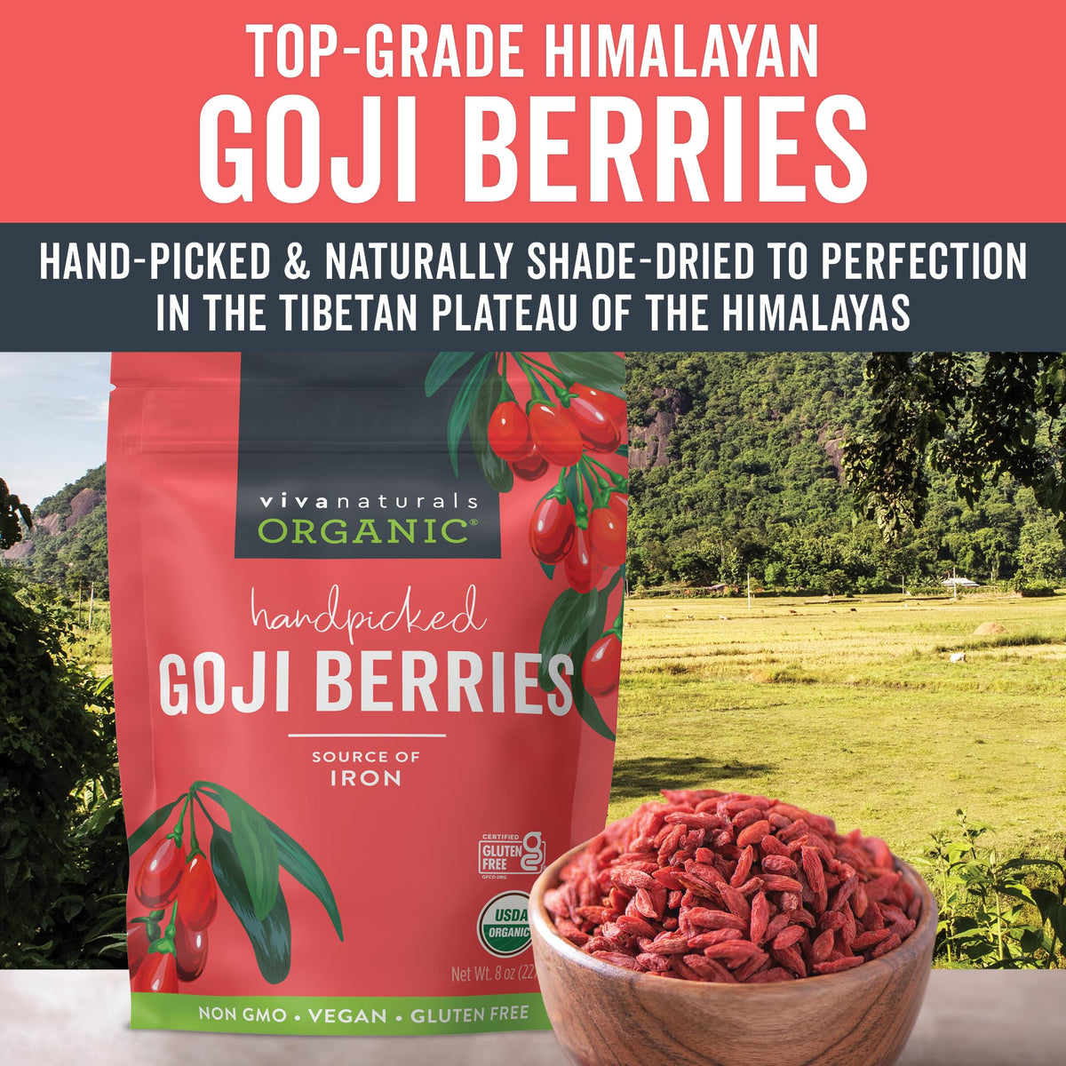 Viva Naturals Organic Dried Goji Berries, 1 lb (454 g) – Non-GMO, Vegan Wolfberries, Perfect for Goji Berry Tea, Smoothies, Baking & Snacking